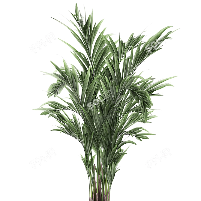 Tropical Oasis Plant Collection 3D model image 2