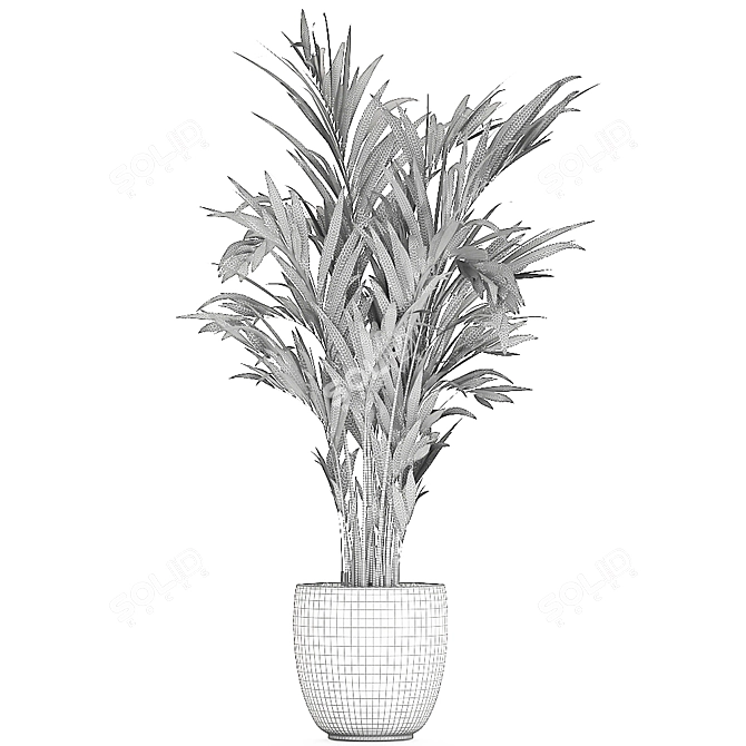 Tropical Oasis Plant Collection 3D model image 5
