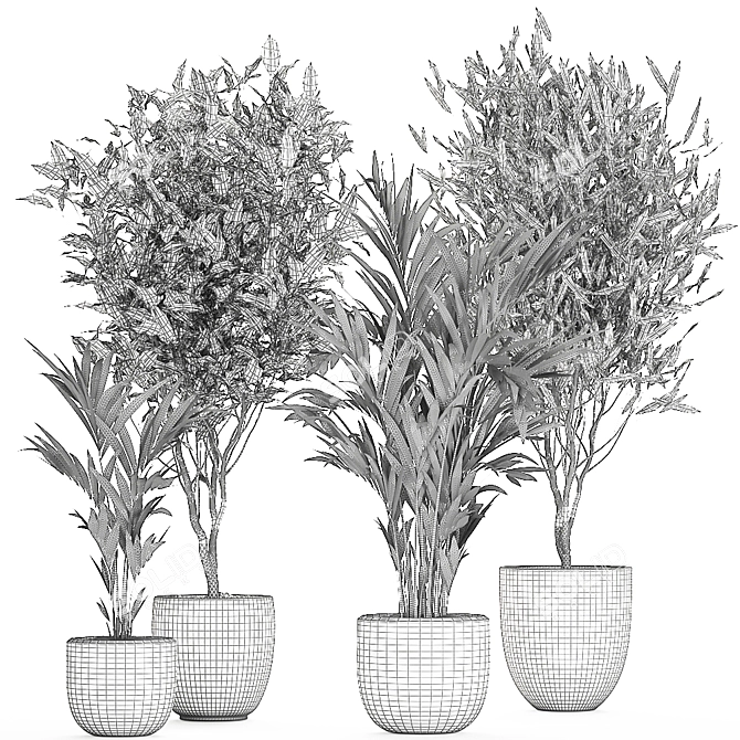 Tropical Plant Collection: Ficus, Howea, & Palm 3D model image 5