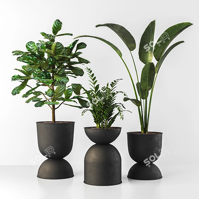 Title: Stunning Indoor Plant - 3D Assets 3D model image 1