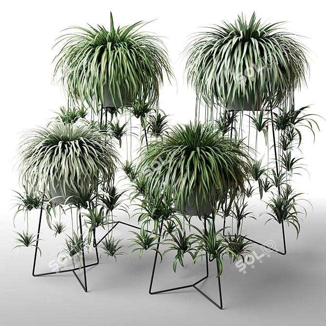 Indoor Greenery in Stylish Planters 3D model image 1