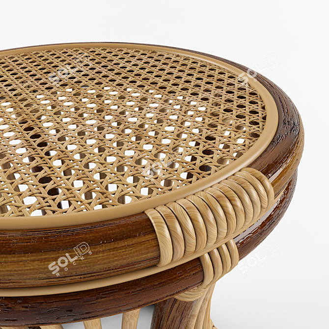 Eco-friendly Rattan Side Table 3D model image 3