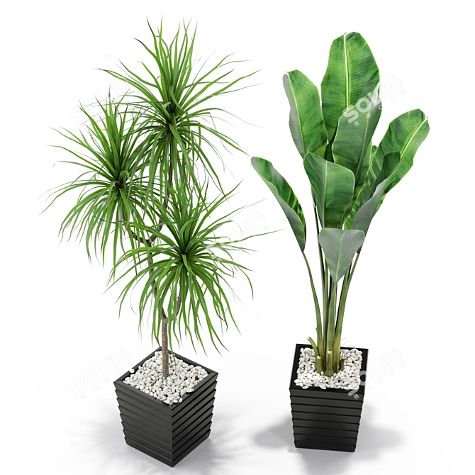 Exquisite Flora Set 371 3D model image 3