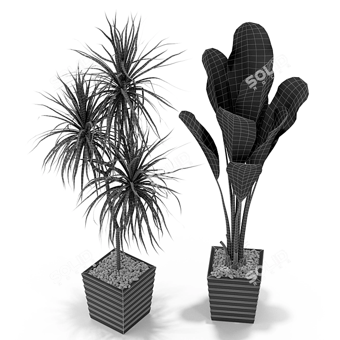 Exquisite Flora Set 371 3D model image 5