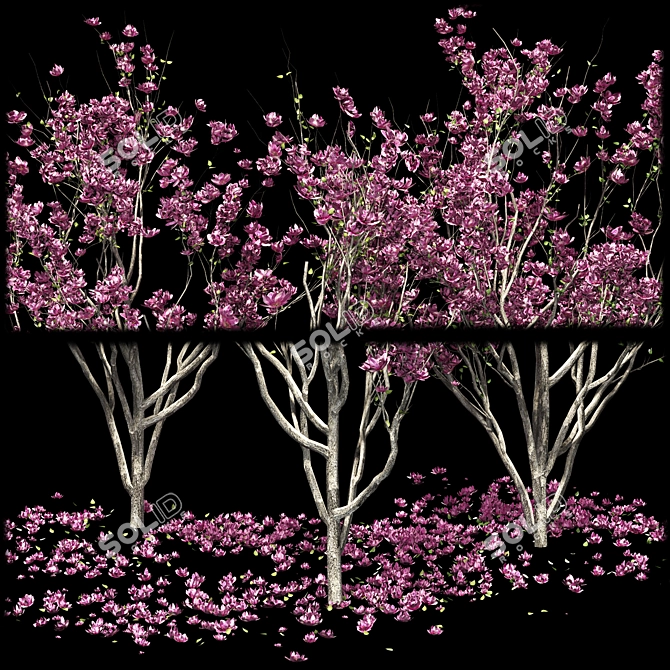 Magnolia Tree 3D Models & Materials 3D model image 3