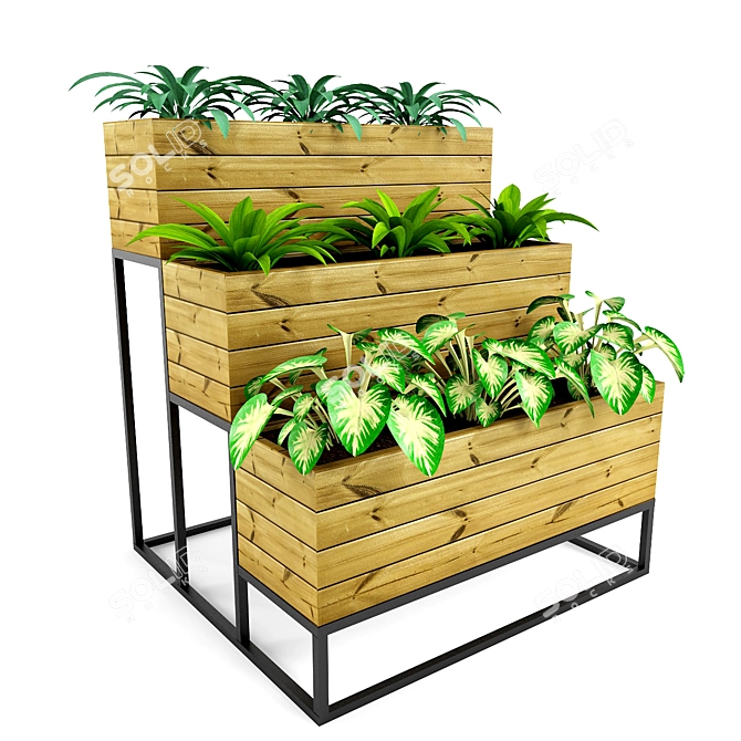 BlossomBox: 3D Model for Plants 3D model image 1