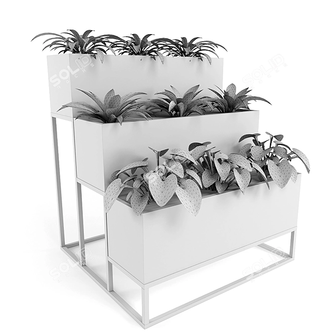 BlossomBox: 3D Model for Plants 3D model image 2