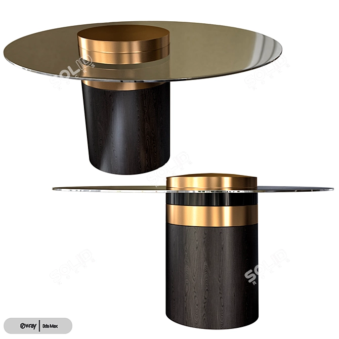 Modern Glass Coffee Table - Gallotti & Radice HAUMEA T 3D model image 2