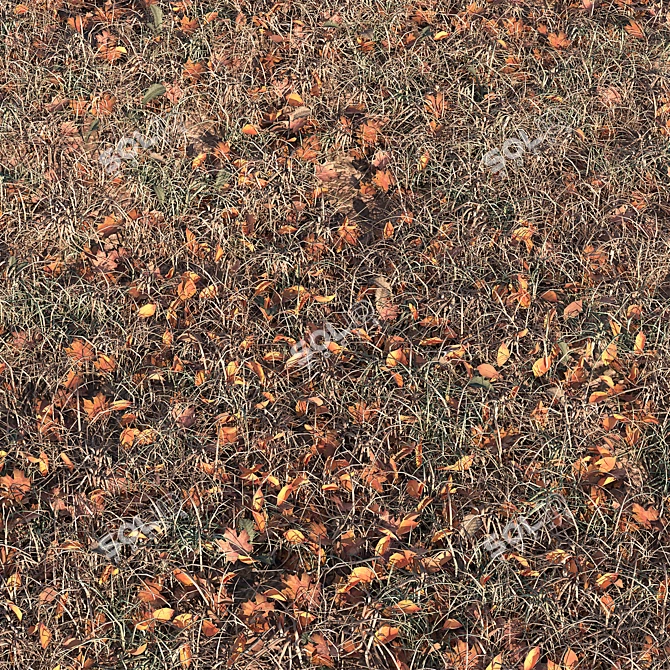 Autumn Foliage Variety 3D model image 2