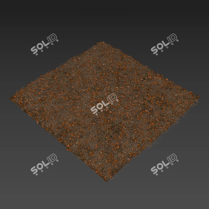 Autumn Foliage Variety 3D model image 6