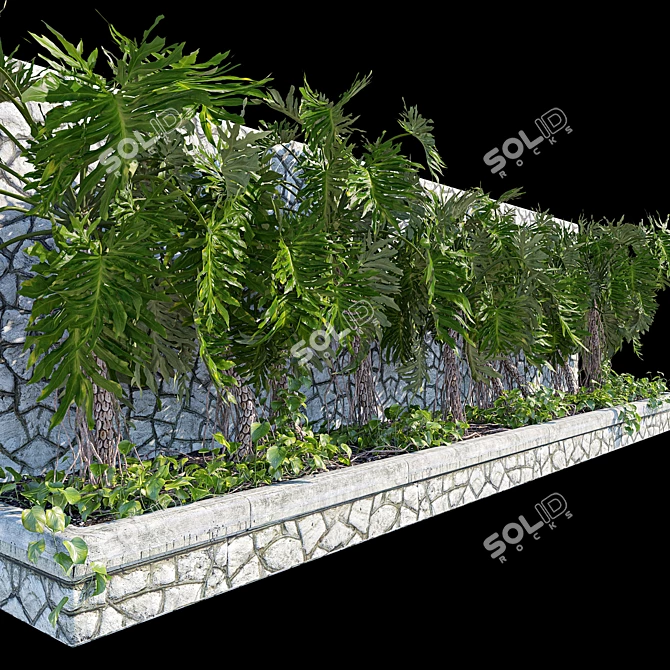 Tropical Beauty Bundle: Philodendron Sello + Epipremnum Aureum 3D model image 2