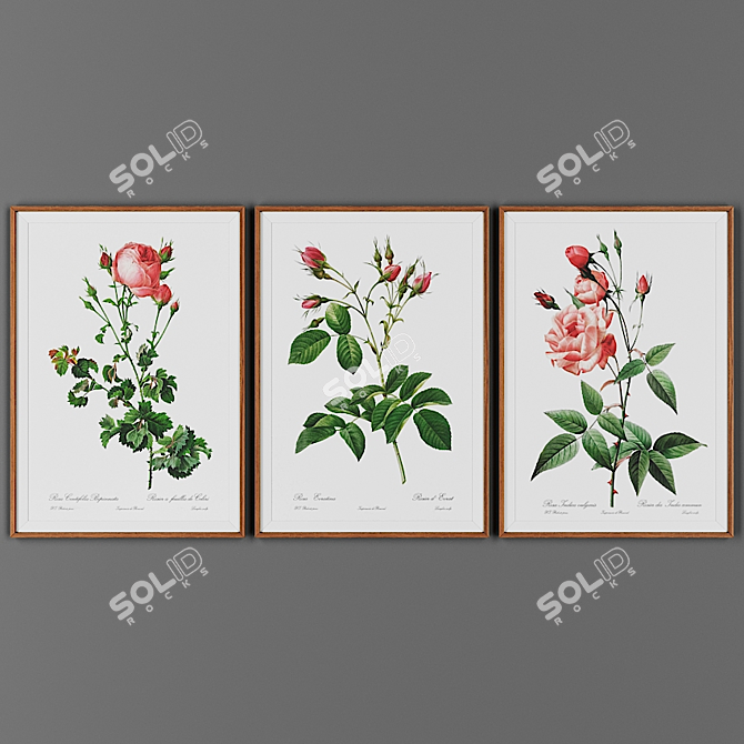 Wooden Frame Art Collection 3D model image 1