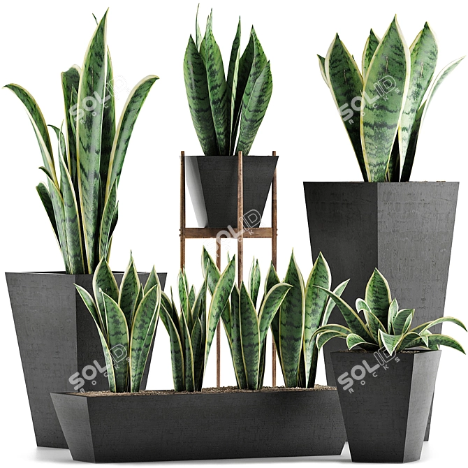 Exotic Palm Plants: Decorative Collection 29 3D model image 1