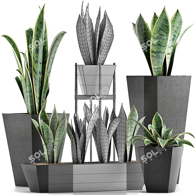 Exotic Palm Plants: Decorative Collection 29 3D model image 4