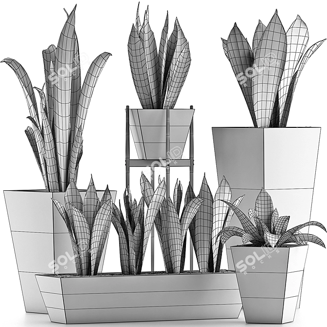 Exotic Palm Plants: Decorative Collection 29 3D model image 5