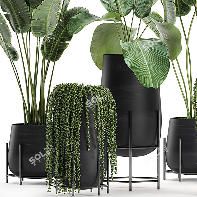 Exotic Plant Collection in Black Vase 3D model image 4