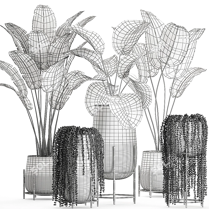 Exotic Plant Collection in Black Vase 3D model image 5