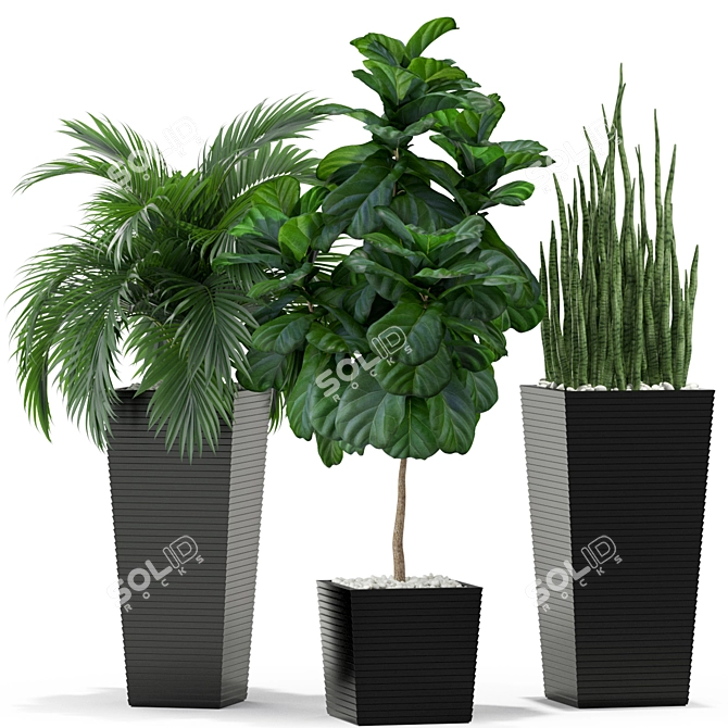 Botanical Bliss: Plants Collection 373 3D model image 3