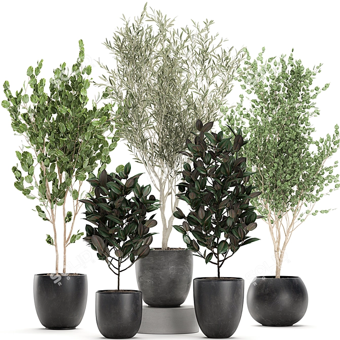 Exotic Plant Collection: Indoor & Outdoor Accent 3D model image 1