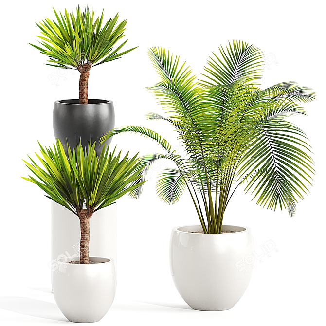 10 Plant Collection: Polys 170k+/Verts 167k+ 3D model image 2