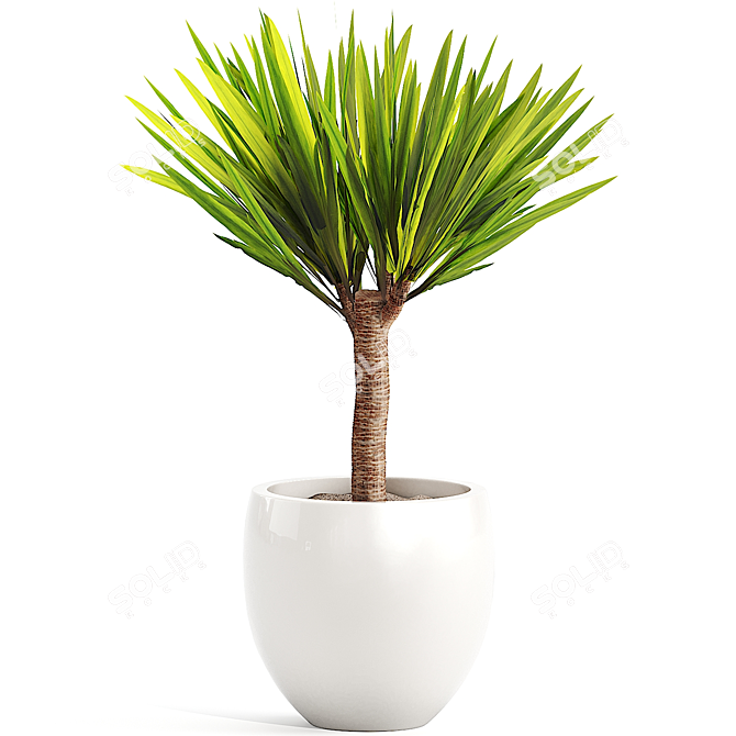 10 Plant Collection: Polys 170k+/Verts 167k+ 3D model image 5