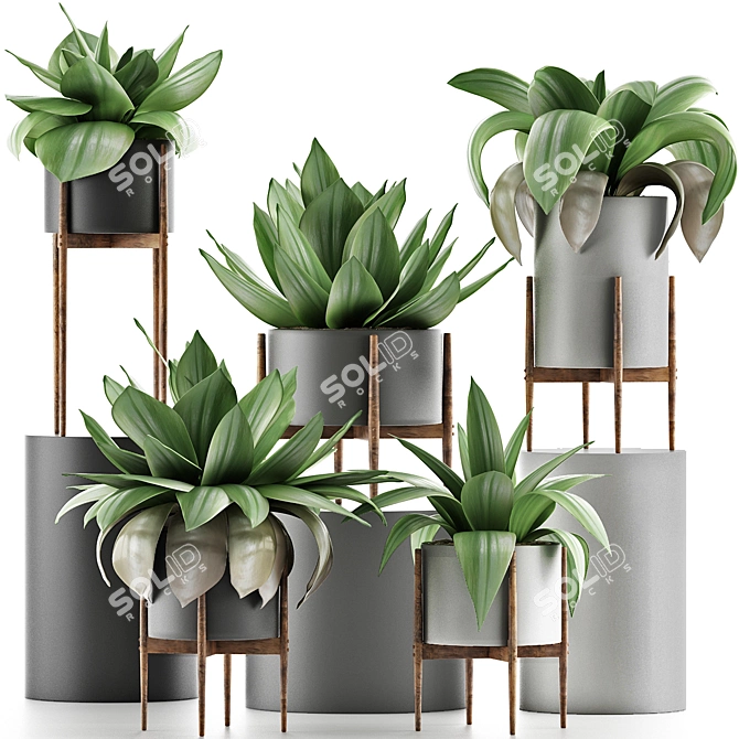 Tropical Plant Oasis 3D model image 1