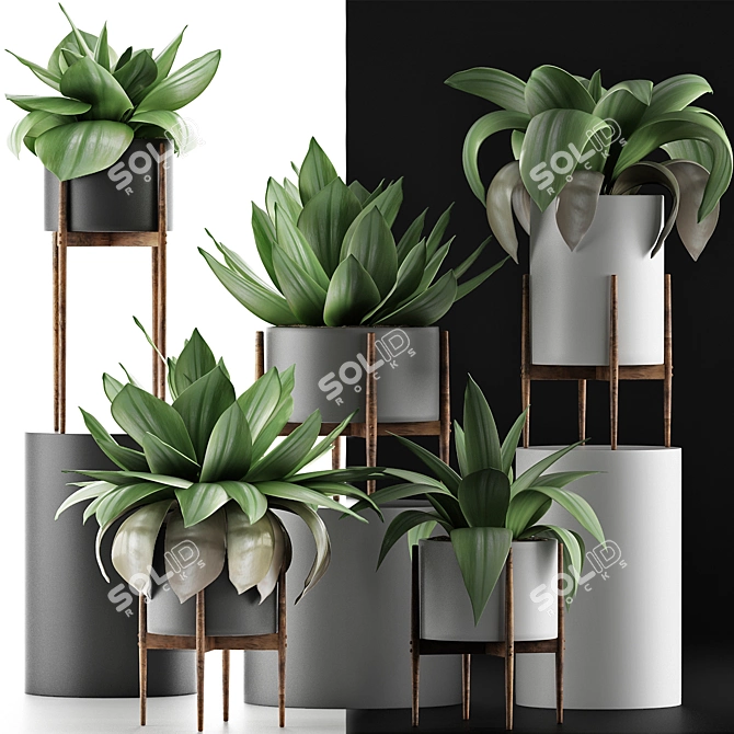 Tropical Plant Oasis 3D model image 3