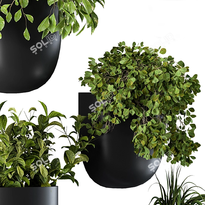 Wall-Mounted Plant Box 3D model image 2