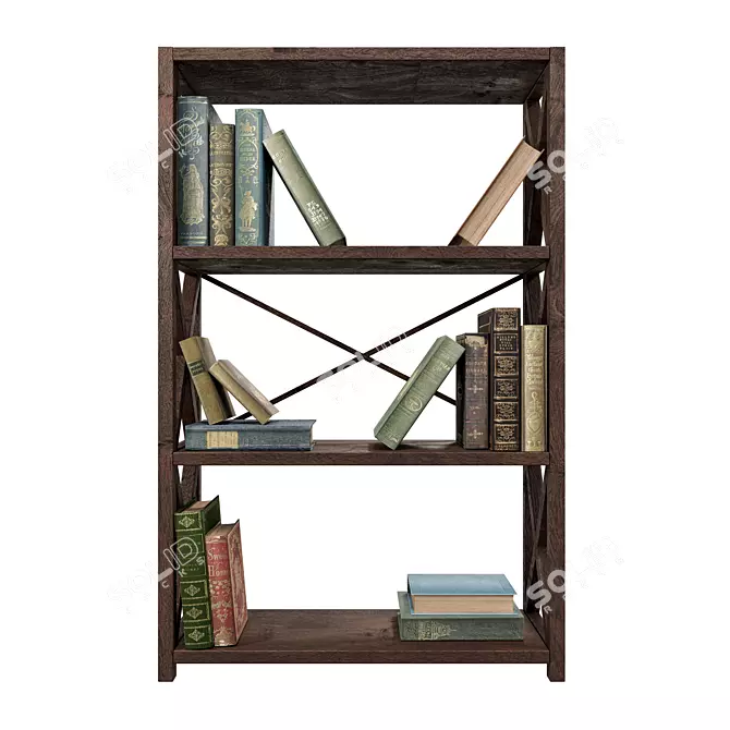 15 Unique Books & Wooden Country Rack 3D model image 4