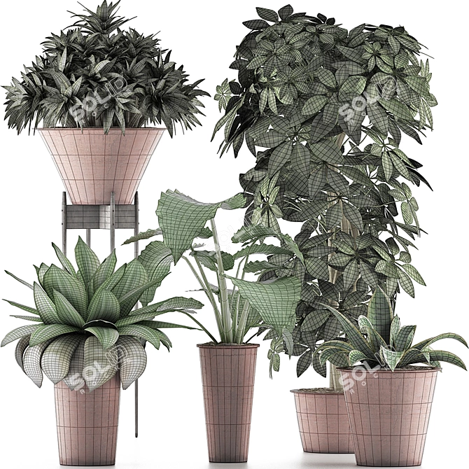 Exotic Plants Assortment: Alocasia, Sansevieria, Schefflera, Agave 3D model image 4