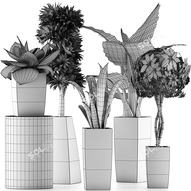 Exotic Plant Collection: Alocasia, Sansevieira, Schefflera, Agave 3D model image 5