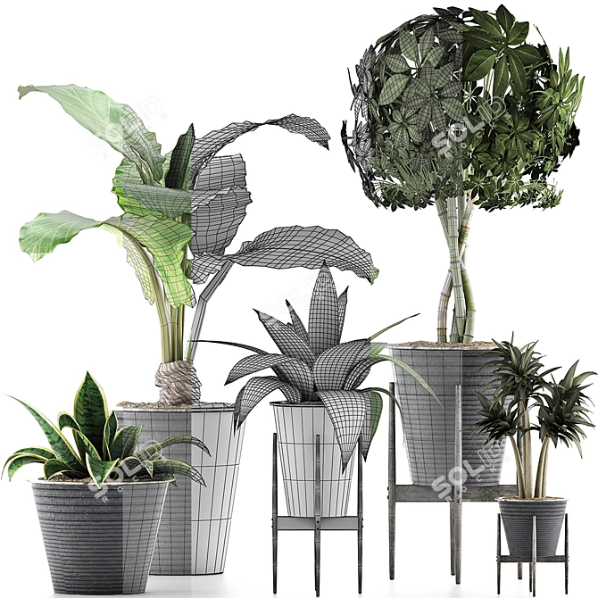 Exotic Plants Collection: 40 Varieties 3D model image 4