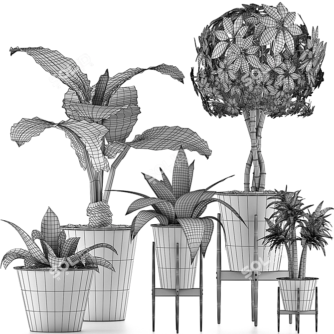 Exotic Plants Collection: 40 Varieties 3D model image 5