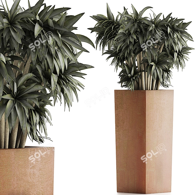 Desert Jungle Collection 3D model image 1