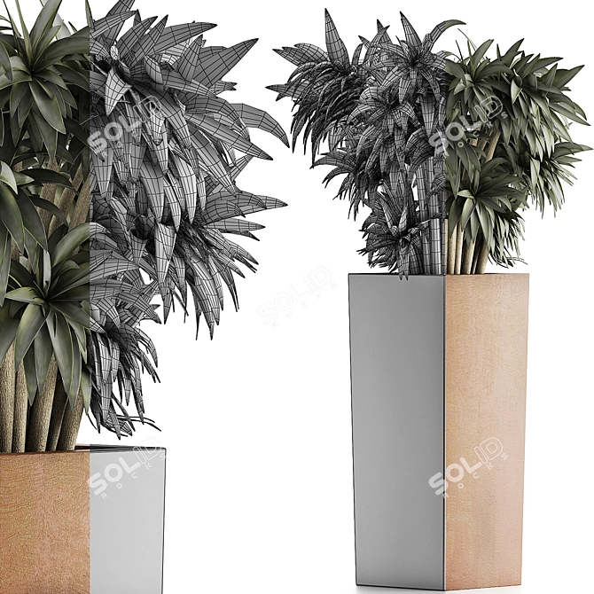 Desert Jungle Collection 3D model image 4