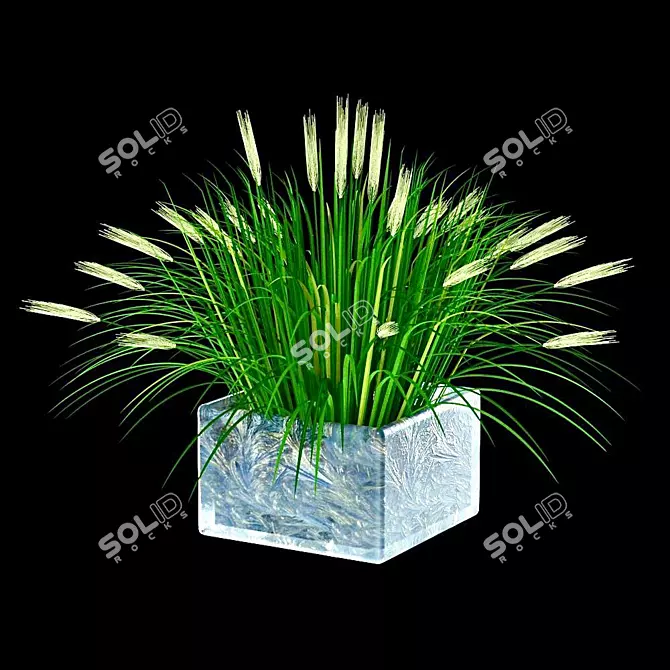 Elegant Ornamental Grass: 362mm x 356mm x 245mm 3D model image 1