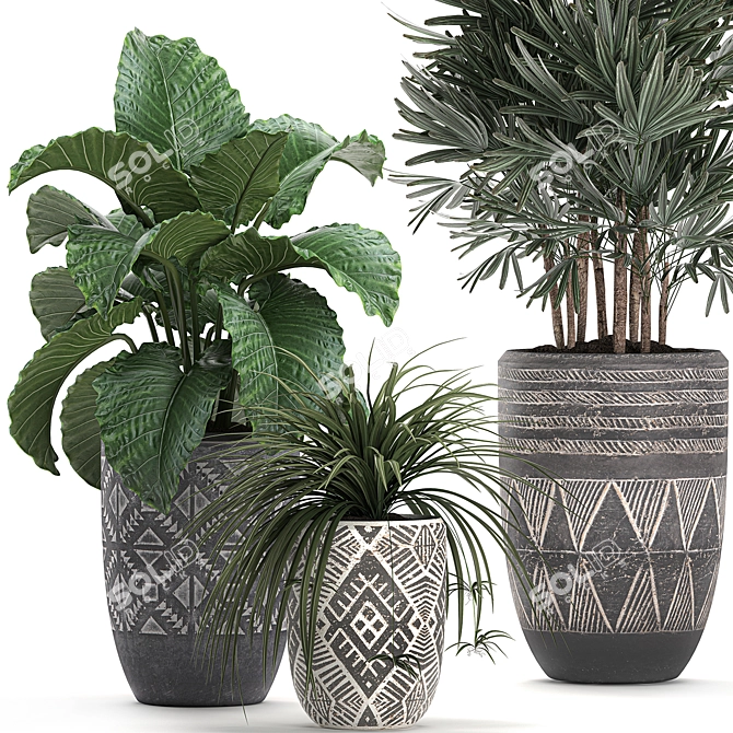 Exotic Plant Collection: Raphis Palm, Alocasia, and Chlorophytum 3D model image 2