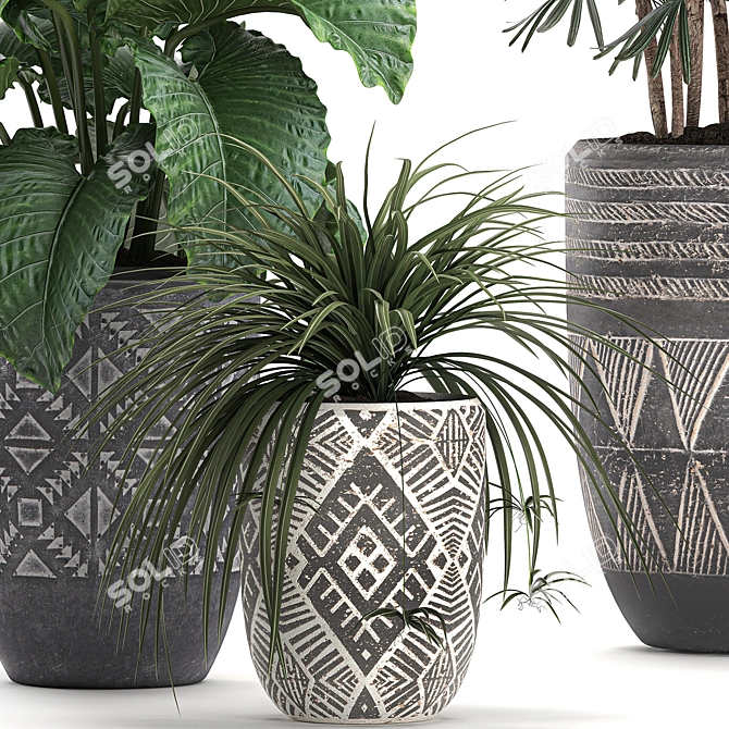 Exotic Plant Collection: Raphis Palm, Alocasia, and Chlorophytum 3D model image 3