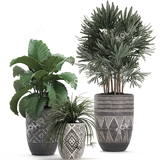 Exotic Plant Collection: Raphis Palm, Alocasia, and Chlorophytum 3D model image 4