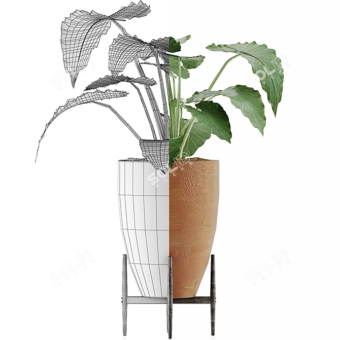 Exotic Alocasia Plant Collection 3D model image 4