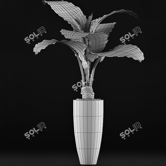 Exotic Alocasia: Plants Collection 53 3D model image 5