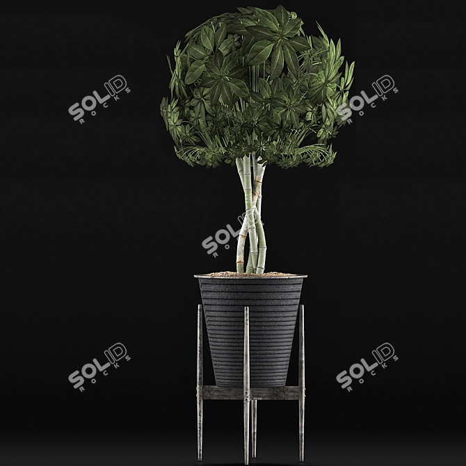 Exotic Schefflera: Perfect for Office & Outdoor Decor 3D model image 2