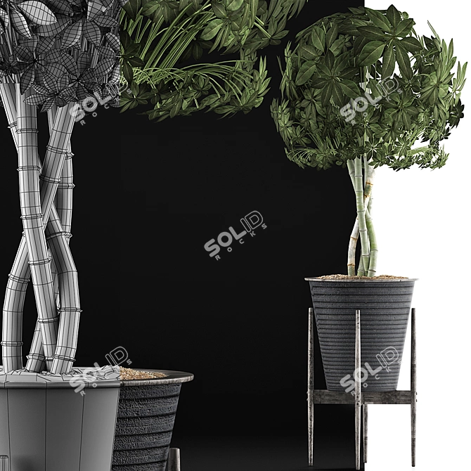 Exotic Schefflera: Perfect for Office & Outdoor Decor 3D model image 3