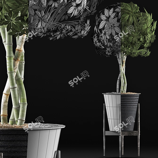 Exotic Schefflera: Perfect for Office & Outdoor Decor 3D model image 4