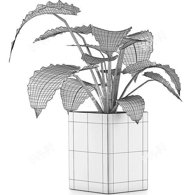 Exotic Alocasia: Perfect Decor for Office 3D model image 4