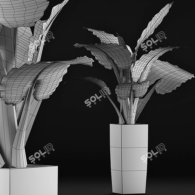 Tropical Elegance: Alocasia Collection 3D model image 5