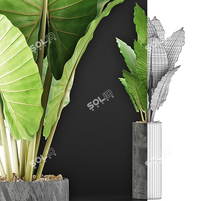 Tropical Greenery: Alocasia Plants 3D model image 3