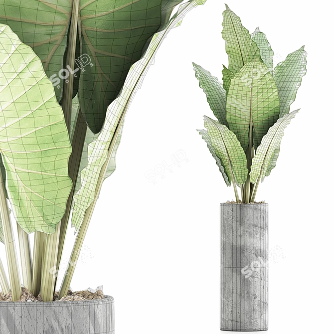 Tropical Greenery: Alocasia Plants 3D model image 4