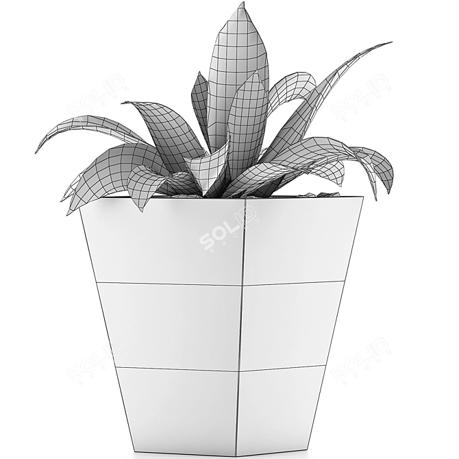 Tropical Oasis: 60 Sansevieria Plants Collection 3D model image 5