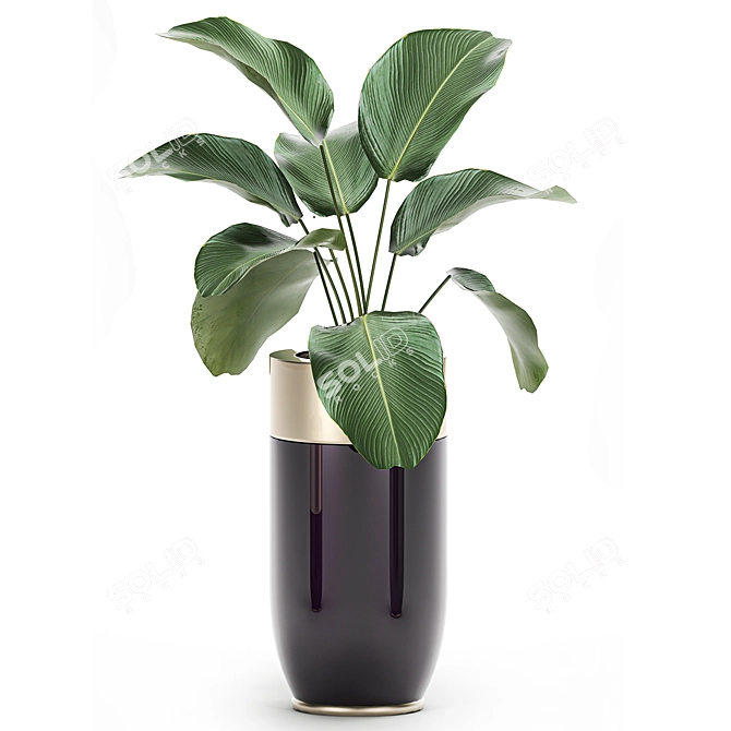 Exotic Plant Collection: Indoor & Outdoor Decor 3D model image 3